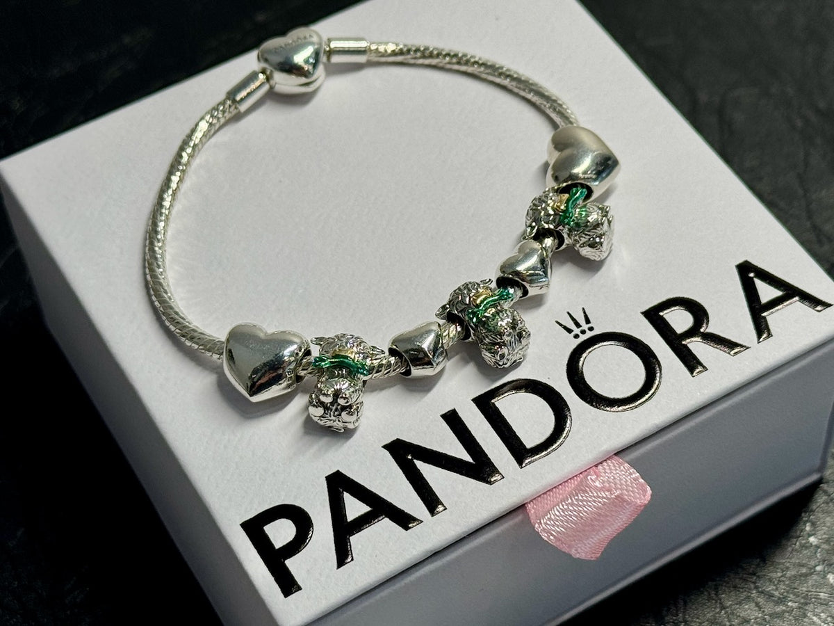 Pandora bracelet at Regarde Jewellers Armidale